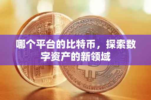 哪个平台的比特币，探索数字资产的新领域