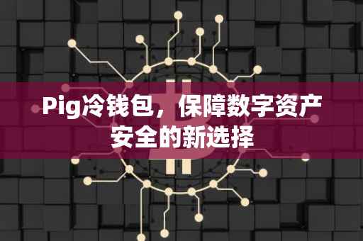 Pig冷钱包，保障数字资产安全的新选择