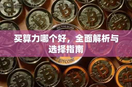 买算力哪个好，全面解析与选择指南