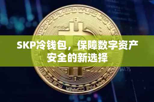 SKP冷钱包，保障数字资产安全的新选择