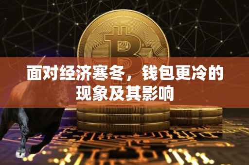 面对经济寒冬，钱包更冷的现象及其影响