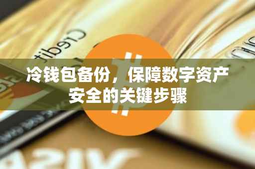 冷钱包备份，保障数字资产安全的关键步骤