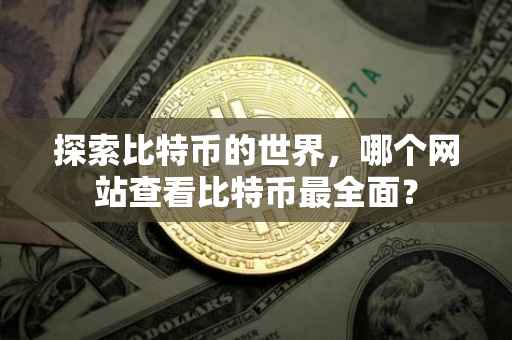 探索比特币的世界，哪个网站查看比特币最全面？