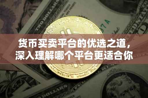 货币买卖平台的优选之道，深入理解哪个平台更适合你