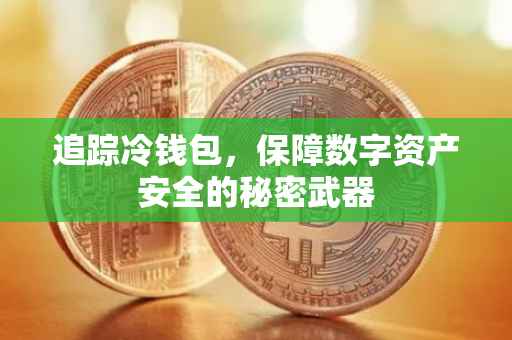追踪冷钱包，保障数字资产安全的秘密武器