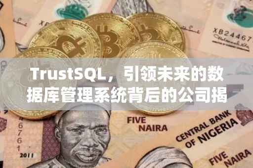 TrustSQL，引领未来的数据库管理系统背后的公司揭秘