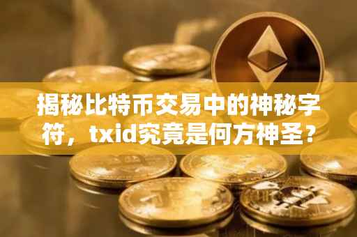 揭秘比特币交易中的神秘字符，txid究竟是何方神圣？