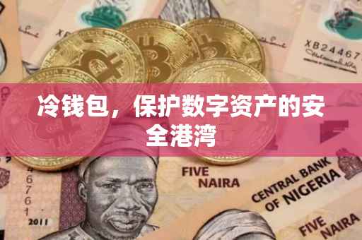 冷钱包，保护数字资产的安全港湾