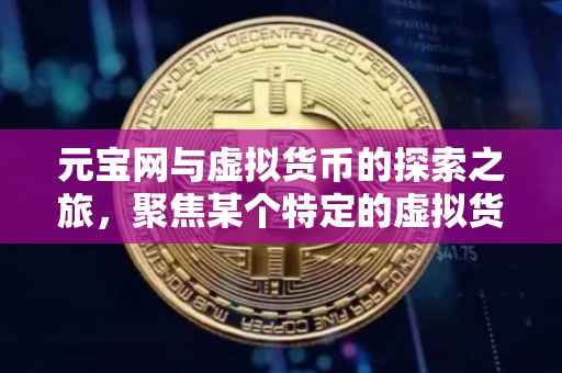 元宝网与虚拟货币的探索之旅，聚焦某个特定的虚拟货币