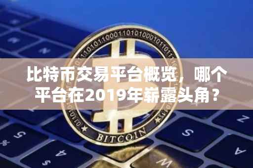 比特币交易平台概览，哪个平台在2019年崭露头角？