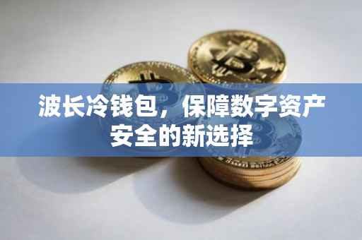 波长冷钱包，保障数字资产安全的新选择