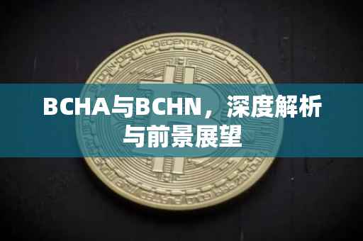 BCHA与BCHN，深度解析与前景展望