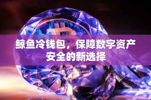 鲸鱼冷钱包，保障数字资产安全的新选择