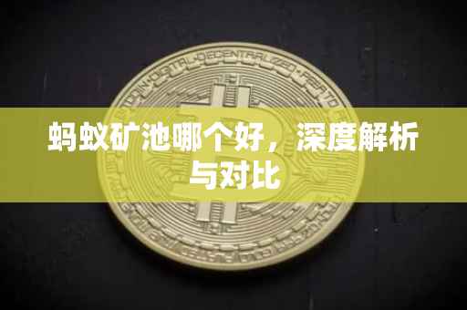 蚂蚁矿池哪个好，深度解析与对比