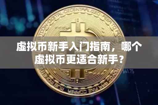 虚拟币新手入门指南，哪个虚拟币更适合新手？