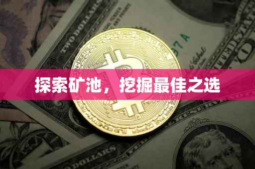 探索矿池，挖掘最佳之选