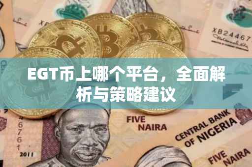 EGT币上哪个平台，全面解析与策略建议