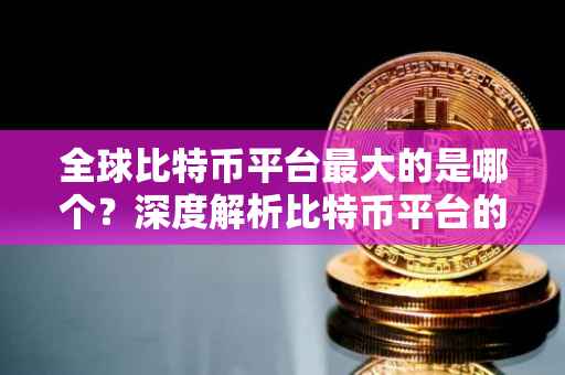 全球比特币平台最大的是哪个？深度解析比特币平台的竞争格局
