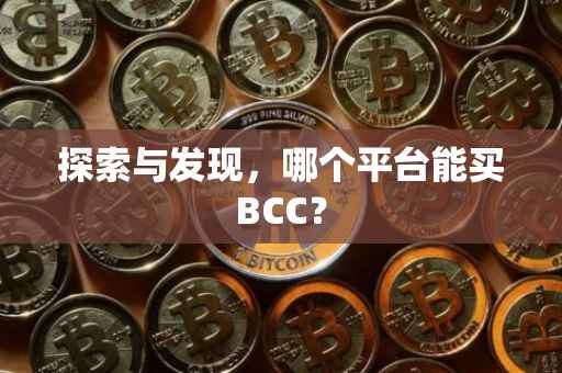 探索与发现，哪个平台能买BCC？