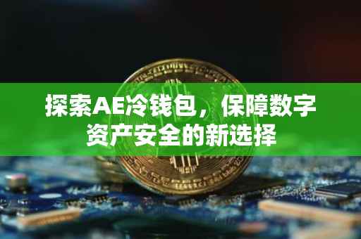 探索AE冷钱包，保障数字资产安全的新选择