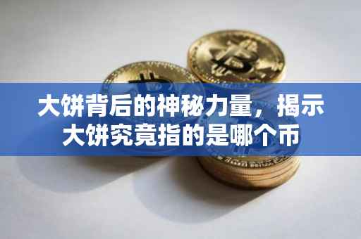 大饼背后的神秘力量，揭示大饼究竟指的是哪个币