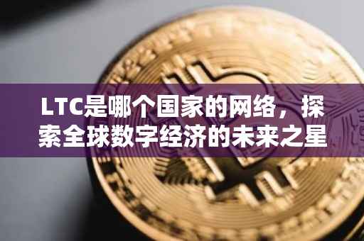 LTC是哪个国家的网络，探索全球数字经济的未来之星
