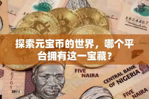 探索元宝币的世界，哪个平台拥有这一宝藏？