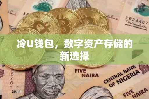 冷U钱包，数字资产存储的新选择