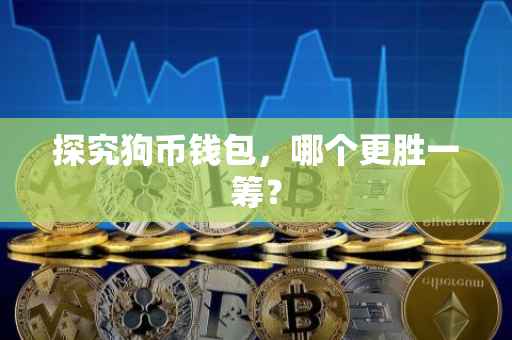 探究狗币钱包，哪个更胜一筹？