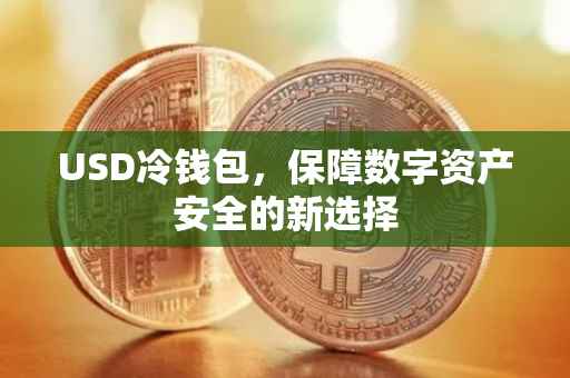 USD冷钱包，保障数字资产安全的新选择