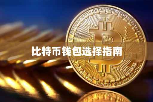 比特币钱包选择指南