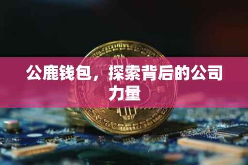 公鹿钱包，探索背后的公司力量