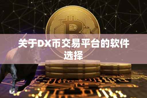 关于DX币交易平台的软件选择