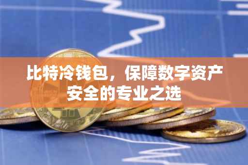 比特冷钱包，保障数字资产安全的专业之选