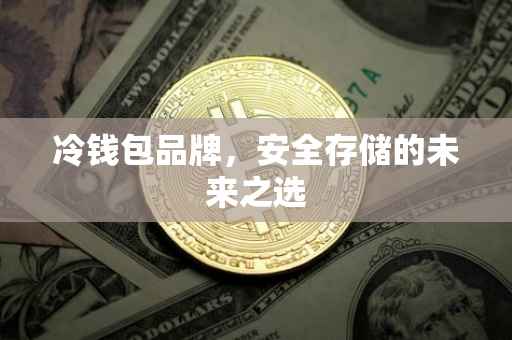 冷钱包品牌，安全存储的未来之选