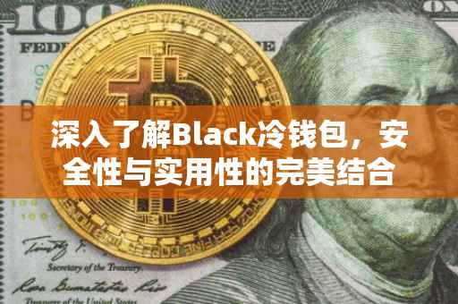 深入了解Black冷钱包，安全性与实用性的完美结合