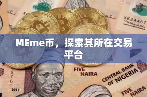 MEme币，探索其所在交易平台