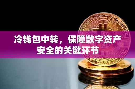冷钱包中转，保障数字资产安全的关键环节