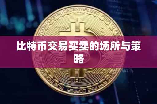 比特币交易买卖的场所与策略