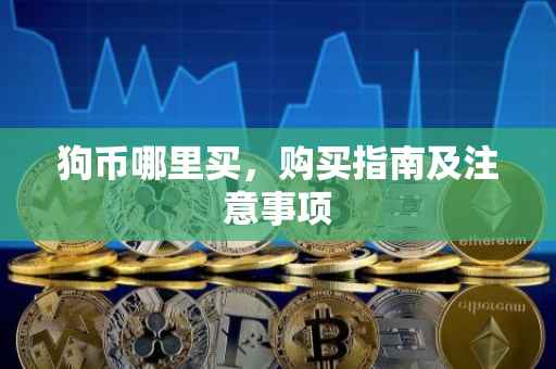 狗币哪里买，购买指南及注意事项