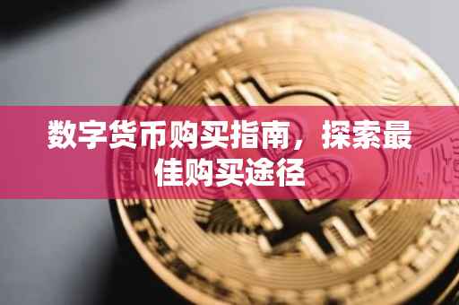 数字货币购买指南，探索最佳购买途径