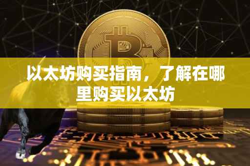以太坊购买指南，了解在哪里购买以太坊