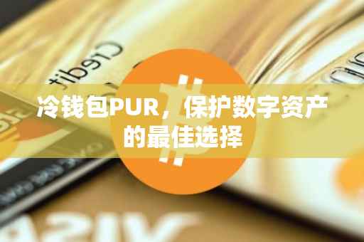 冷钱包PUR，保护数字资产的最佳选择