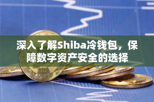 深入了解Shiba冷钱包，保障数字资产安全的选择
