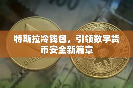 特斯拉冷钱包，引领数字货币安全新篇章