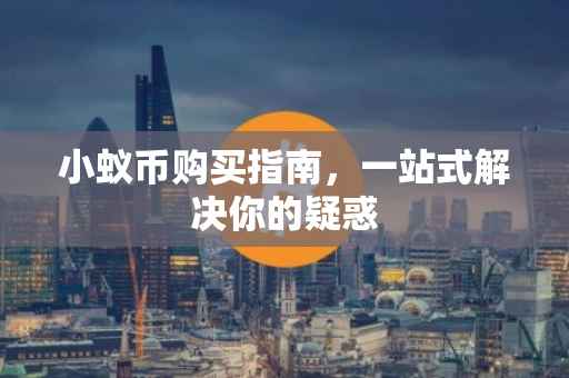 小蚁币购买指南，一站式解决你的疑惑