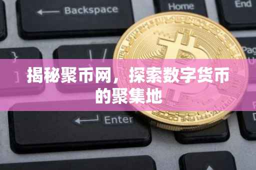 揭秘聚币网，探索数字货币的聚集地
