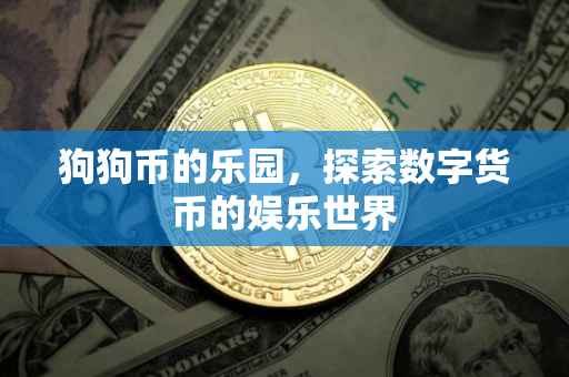 狗狗币的乐园，探索数字货币的娱乐世界