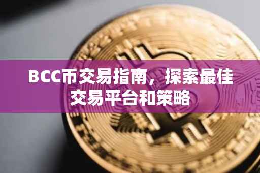 BCC币交易指南，探索最佳交易平台和策略
