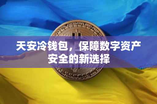 天安冷钱包，保障数字资产安全的新选择